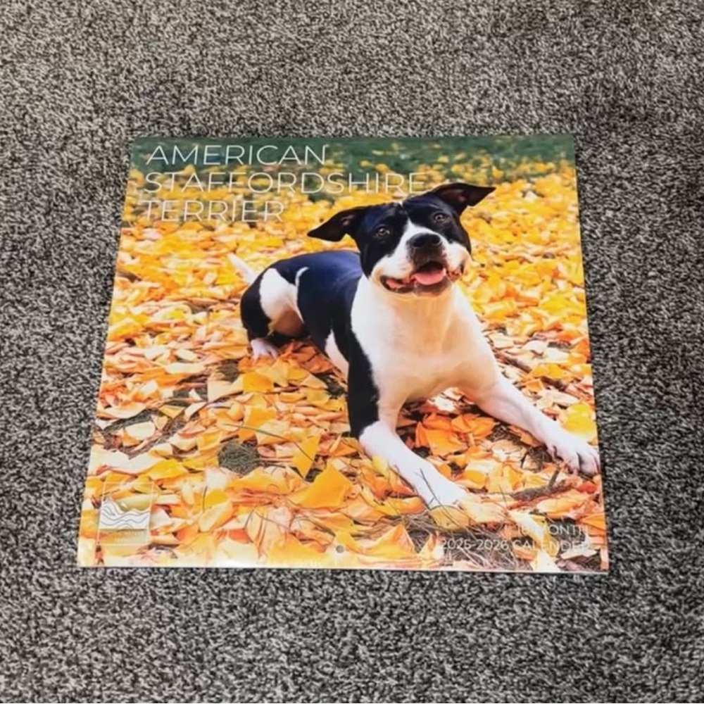 American Staffordshire Terrier Calendar